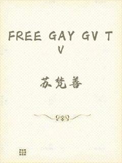 FREE GAY GV TⅤ